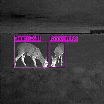 The drones detect animals.