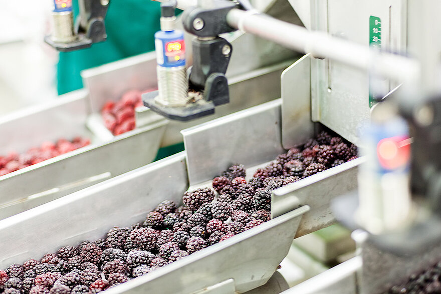 Digitalisation and Industry 4.0 in Food Processing food-processing-header-v3.jpg